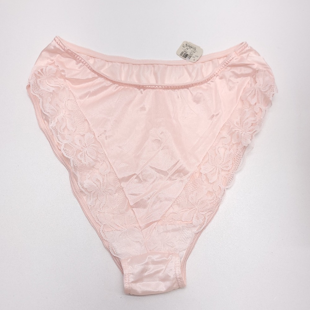 Intimate Pleasures Vintage Pink Nylon Lace High Cut Brief Panties Size 18/20 NEW